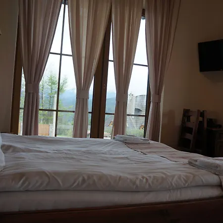 Pensjonat Sekuła*** Bukowina Tatrzańska